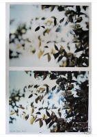 Vorschau: Thomas Demand. Flare Detail # 18, 19, 2002 Vorschau: Thomas Demand. Flare Detail # 18, 19, 2002