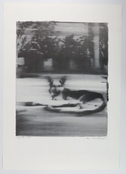 Gerhard Richter. Schäferhund