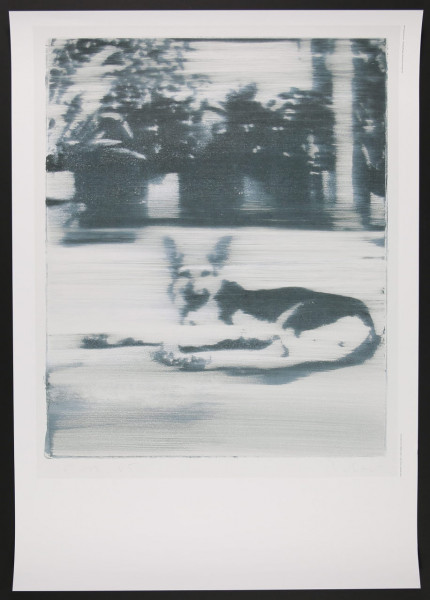 Gerhard Richter. Hund. Plakat, 2019