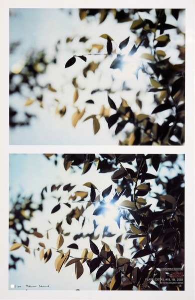 Thomas Demand. Flare Detail # 18, 19, 2002