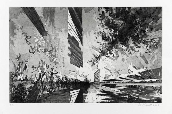 David Schnell. Thermik, 2009