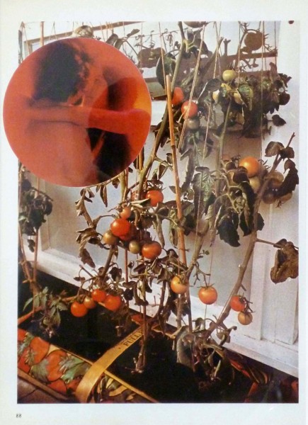 Wade Guyton. The Tomato Lovers, 2006