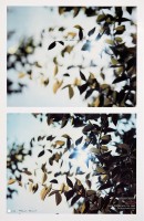 Vorschau: Thomas Demand. Flare Detail # 18, 19, 2002 Vorschau: Thomas Demand. Flare Detail # 18, 19, 2002